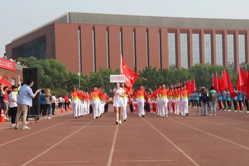 最燃開幕式 獻禮建黨100年！——天津科技大學信息系統集成服務彰顯紅色擔當